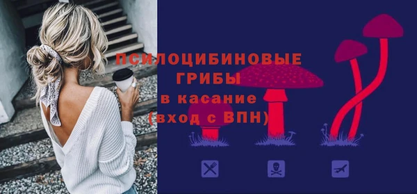 МДПВ Горнозаводск