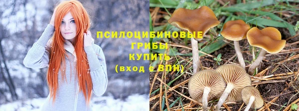 МДПВ Горнозаводск