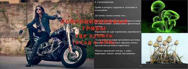 гашиш Вязьма