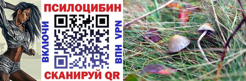 Псилоцибиновые грибы мухоморы Задонск